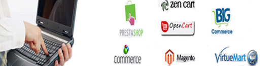 E-commerce software & Solutions