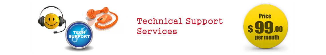 technical support services